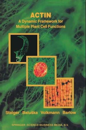 Actin: A Dynamic Framework for Multiple Plant Cell Functions