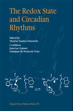 Redox State and Circadian Rhythms