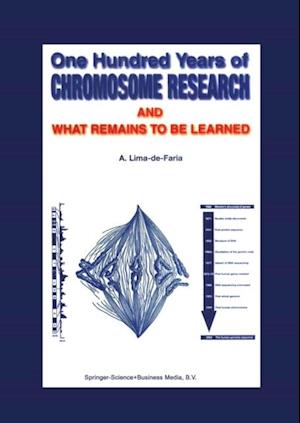 One Hundred Years of Chromosome Research and What Remains to be Learned