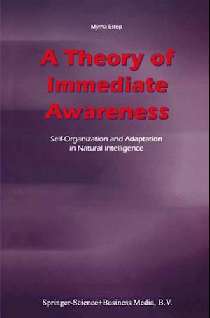 Theory of Immediate Awareness