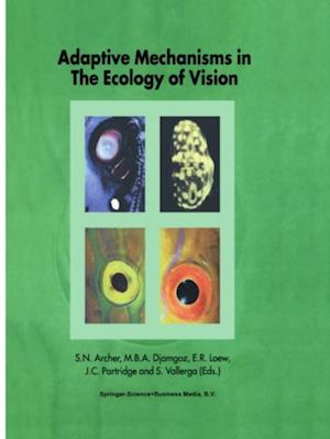 Adaptive Mechanisms in the Ecology of Vision