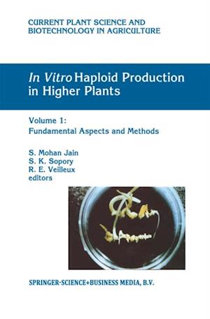 In Vitro Haploid Production in Higher Plants