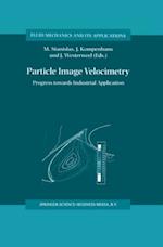 Particle Image Velocimetry