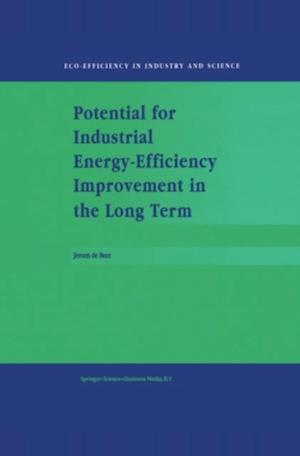 Potential for Industrial Energy-Efficiency Improvement in the Long Term