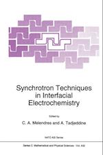 Synchrotron Techniques in Interfacial Electrochemistry
