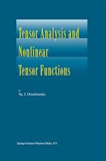 Tensor Analysis and Nonlinear Tensor Functions