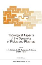 Topological Aspects of the Dynamics of Fluids and Plasmas