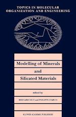 Modelling of Minerals and Silicated Materials