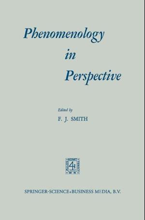 Phenomenology in Perspective