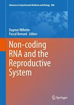 Non-coding RNA and the Reproductive System