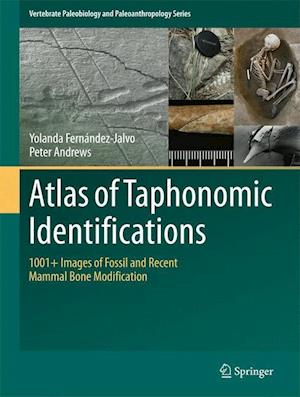 Atlas of Taphonomic Identifications