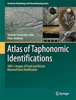 Atlas of Taphonomic Identifications
