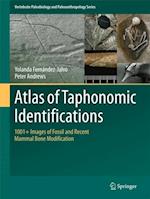 Atlas of Taphonomic Identifications