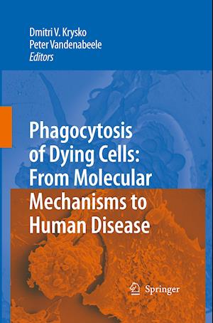 Phagocytosis of Dying Cells