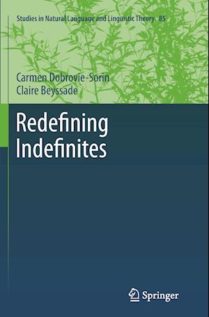 Redefining Indefinites