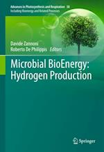 Microbial BioEnergy: Hydrogen Production