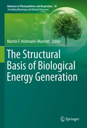 Structural Basis of Biological Energy Generation