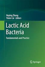 Lactic Acid Bacteria