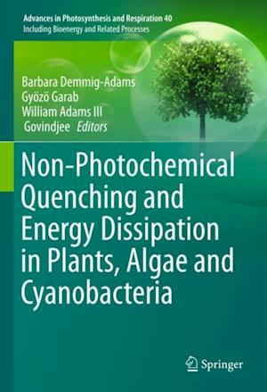 Non-Photochemical Quenching and Energy Dissipation in Plants, Algae and Cyanobacteria