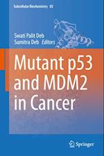 Mutant p53 and MDM2 in Cancer