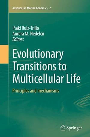 Evolutionary Transitions to Multicellular Life