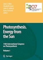 Photosynthesis. Energy from the Sun