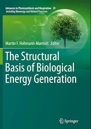 The Structural Basis of Biological Energy Generation