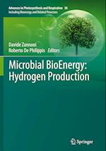 Microbial BioEnergy: Hydrogen Production