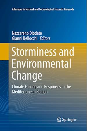 Storminess and Environmental Change