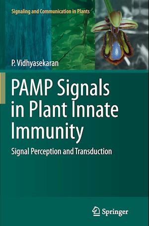 PAMP Signals in Plant Innate Immunity
