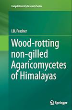 Wood-rotting non-gilled Agaricomycetes of Himalayas