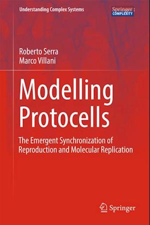 Modelling Protocells