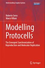 Modelling Protocells