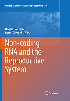 Non-coding RNA and the Reproductive System