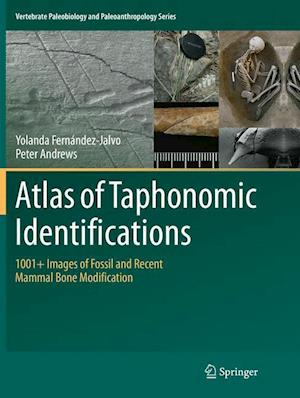 Atlas of Taphonomic Identifications