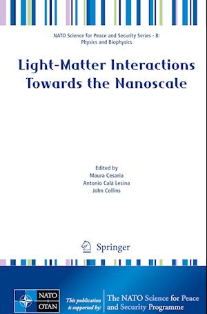 Light-Matter Interactions Towards the Nanoscale