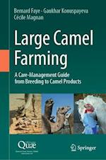 Large Camel Farming
