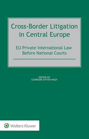 Cross-Border Litigation in Central Europe: EU Private International Law Before National Courts