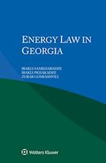 Energy Law in Georgia 