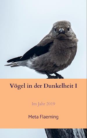 Vögel in der Dunkelheit I