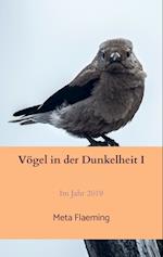 Vögel in der Dunkelheit I