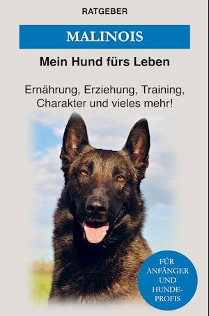 Få Malinois af Mein Hund Fürs Leben Ratgeber som Paperback på tysk - 9789403619187