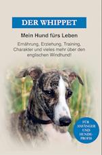 Whippet - Der englische Windhund