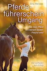 Pferdeführerschein Umgang - Wie Dein Pferd zu Deinem besten Freund wird - Der Leitfaden zum Erfolg