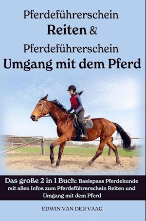 Pferdeführerschein Umgang mit dem Pferd & Reiten