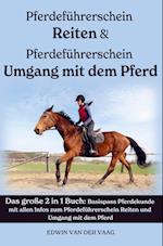 Pferdeführerschein Umgang mit dem Pferd & Reiten