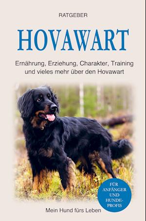 Hovawart