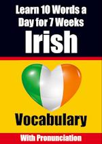 Irish Vocabulary Builder: Learn 10 Irish Words a Day for 7 Weeks | The Daily Irish Challenge