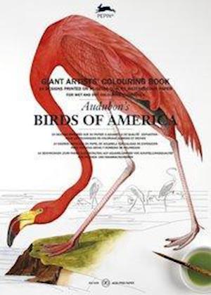 Audubon's Birds of America