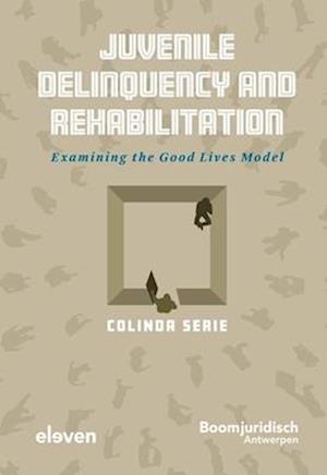 Juvenile Delinquency and Rehabilitation